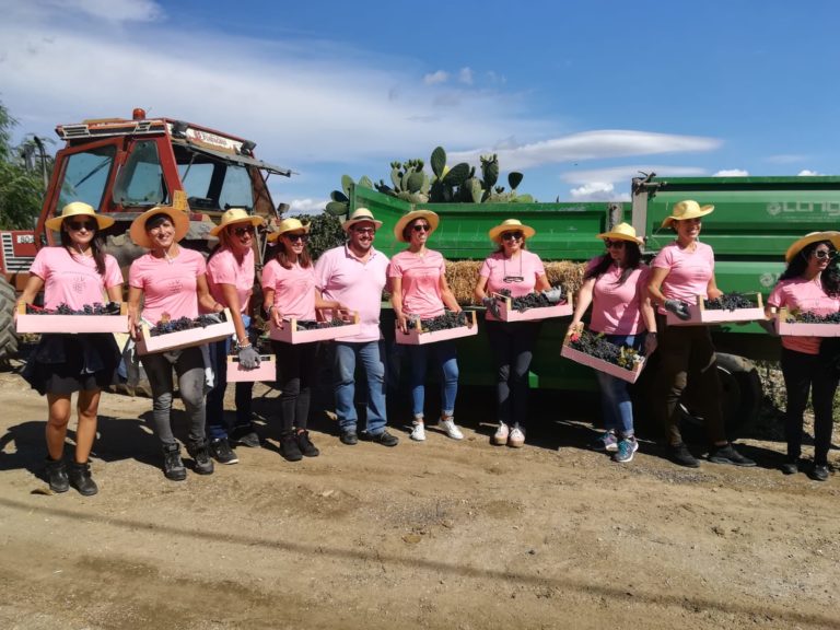 Foto di gruppo con tutto il team della vendemmia in rosa con le cassette piene d'uva.